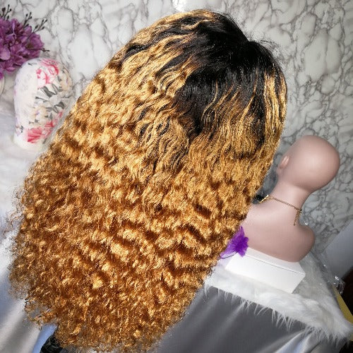Honey Blonde Ombre 1b/27 13x4 Transparent Lace Front Wigs Wet and wavy - Estelle Wig