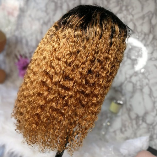 Honey Blonde Ombre 1b/27 13x4 Transparent Lace Front Wigs Wet and wavy - Estelle Wig