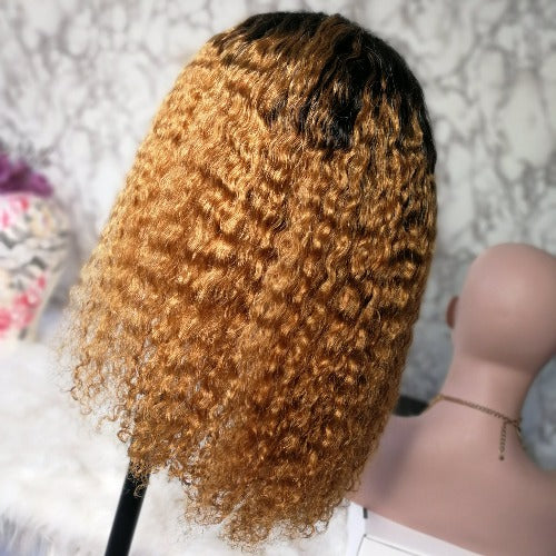 Honey Blonde Ombre 1b/27 13x4 Transparent Lace Front Wigs Wet and wavy - Estelle Wig