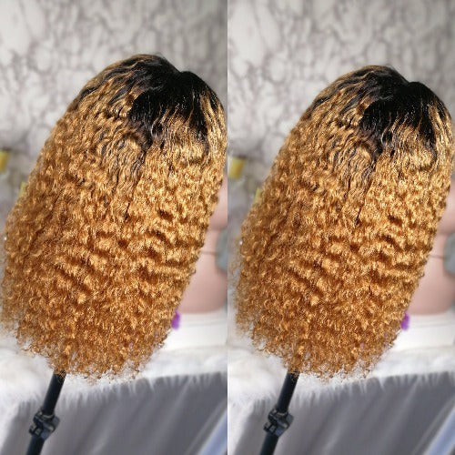 Honey Blonde Ombre 1b/27 13x4 Transparent Lace Front Wigs Wet and wavy - Estelle Wig